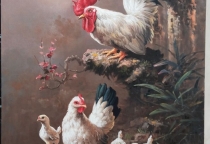 Hướng Dẫn Kỹ Thuật Nuôi Gà Con Hiệu Quả Từ A Đến Z