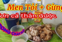 Cách Sử Dụng Men Tỏi Cho Gà Đá Hiệu Quả – Bí Quyết Tăng Sức Mạnh Và Sức Bền