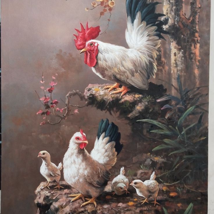 Hướng Dẫn Kỹ Thuật Nuôi Gà Con Hiệu Quả Từ A Đến Z